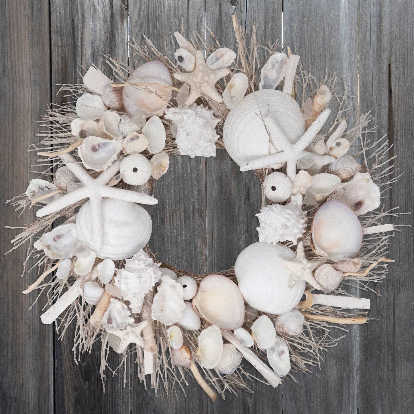 Beautiful!! Elegant Decor White Starfish & Sea Urchin Coastal Seashell Wreath
